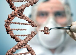 Affaire Grégory : des analyses ADN pour plus de 670.000 euros Affaire Grégory : des analyses ADN pour plus de 670.000 euros