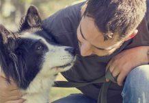 Faire cloner son chien : est-ce possible ? Faire cloner son chien : est-ce possible ?