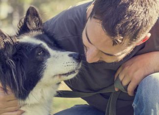 Faire cloner son chien : est-ce possible ? Faire cloner son chien : est-ce possible ?