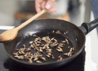 Un pain aux insectes vendu en Finlande : Bon petit-déj! Un pain aux insectes vendu en Finlande: Bon petit-déj!