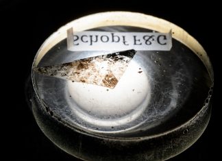 La plus ancienne trace de vie sur terre La plus ancienne trace de vie sur terre