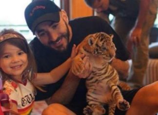Karim Benzema : la photo avec le bébé tigre crée la polémique Karim Benzema : la photo avec le bébé tigre crée la polémique