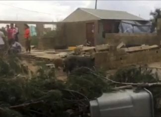 Cyclone : La Nouvelle-Zélande se prépare à affronter « Gita » Cyclone : La Nouvelle-Zélande se prépare à affronter "Gita"