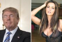 Donald Trump : Une playmate dit avoir été la maîtresse du président Donald Trump : Une playmate dit avoir été la maîtresse du président