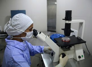 Découverte d’un 80e organe dans le corps humain, selon une étude scientifique Découverte d'un 80e organe dans le corps humain, selon une étude scientifique