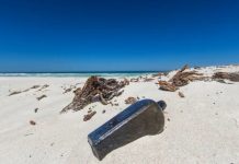 La plus ancienne bouteille à la mer découverte en Australie La plus ancienne bouteille à la mer découverte en Australie