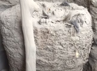 Découverte d’une momie dans la cité inca au Pérou Découverte d'une momie dans la cité inca au Pérou