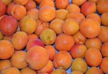 Français déçus par le goût des fruits en grandes surfaces Français déçus par le goût des fruits en grandes surfaces