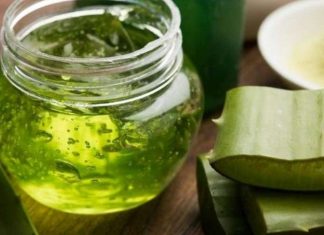 Risques : Les feuilles fraîches d’aloe vera peuvent être dangereuses Risques : Les feuilles fraîches d'aloe vera peuvent être dangereuses