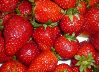 Australie: des aiguilles dans les fraises (Détail) Australie: des aiguilles dans les fraises (Détail)