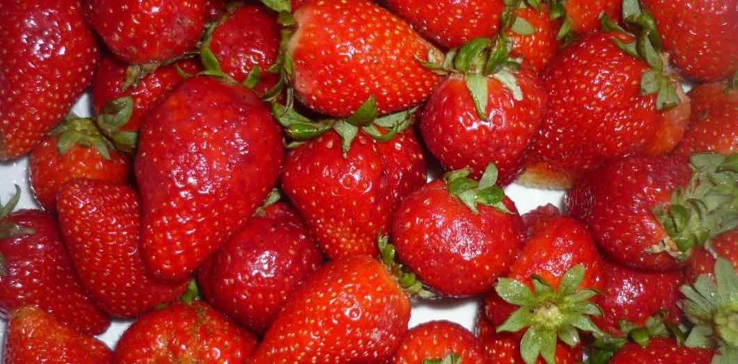 Australie: des aiguilles dans les fraises (Détail)