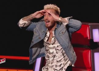 The Voice : Nouveaux coachs de l’émission – De belles surprises The Voice : Nouveaux coachs de l'émission - De belles surprises