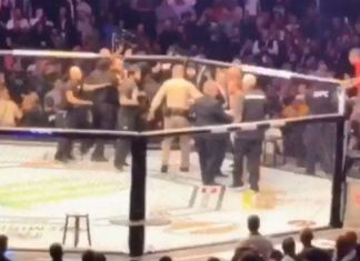 McGregor bagarre générale : combat de MMA se finit en pugilat McGregor bagarre générale : combat de MMA se finit en pugilat
