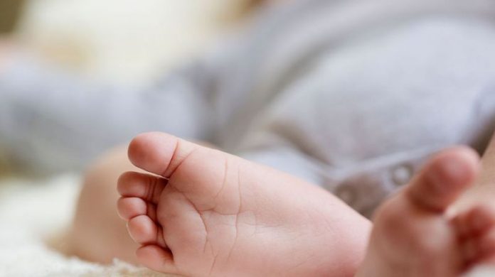 Bébés nés sans bras : une enquête nationale (Détail)