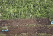 La France lance son plan contre la déforestation (Détail) La France lance son plan contre la déforestation (Détail)