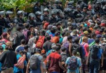 Trump: l’armée pourrait faire feu sur les migrants Trump: l'armée pourrait faire feu sur les migrants