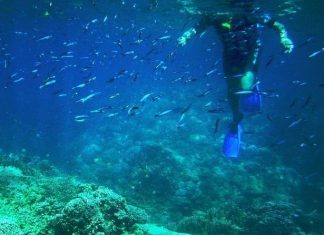 Îles Palaos interdisent la crème solaire ‘Détail’ Îles Palaos interdisent la crème solaire 'Détail'