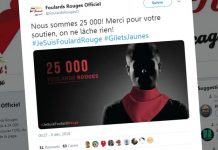 Mobilisation des Foulards rouges contre les Gilets jaunes (Détail) Mobilisation des Foulards rouges contre les Gilets jaunes (Détail)