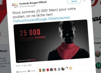 Mobilisation des Foulards rouges contre les Gilets jaunes (Détail) Mobilisation des Foulards rouges contre les Gilets jaunes (Détail)