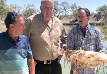 Un million de poissons morts dans les fleuves d’Australie (Détail) Un million de poissons morts dans les fleuves d'Australie (Détail)