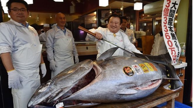 Un thon rouge vendu à 2,7 millions d'euros au Japon (Image)
