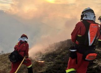 Le nord de l’Espagne touché par près de 50 incendies (détail) Le nord de l'Espagne touché par près de 50 incendies (détail)