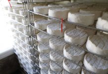 E. coli : rappel de 5.800 camemberts contaminés (détail) E. coli : rappel de 5.800 camemberts contaminés (détail)