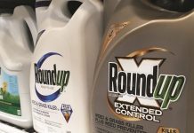 Glyphosate : la justice de l’UE défend le droit d’accès à l’information Glyphosate : la justice de l'UE défend le droit d'accès à l'information