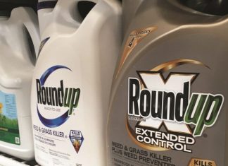 Glyphosate : la justice de l’UE défend le droit d’accès à l’information Glyphosate : la justice de l'UE défend le droit d'accès à l'information