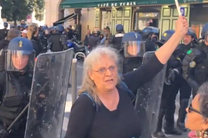 Nice : Manifestante blessée, le procureur met la police hors de cause (détail)