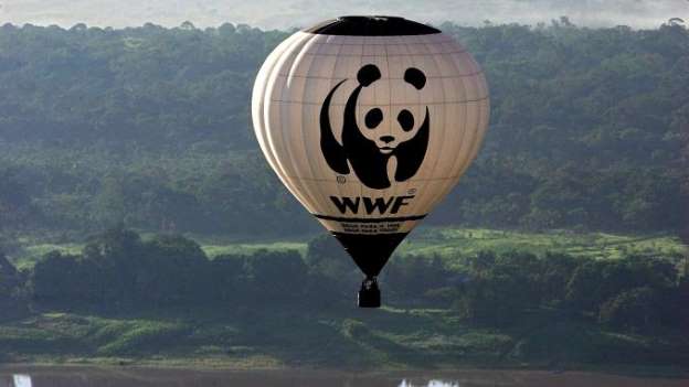 WWF accusé de soutenir 