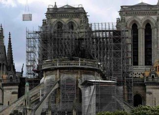 Notre-Dame de Paris : des experts du patrimoine appellent Macron à la prudence Notre-Dame de Paris : des experts du patrimoine appellent Macron à la prudence