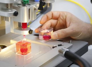 Un cœur imprimé en 3D à partir de tissu humain (détail) Un cœur imprimé en 3D à partir de tissu humain (détail)