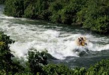 Un touriste veut se prendre en selfie, tombe est mort noyé dans le Nil Un touriste veut se prendre en selfie, tombe est mort noyé dans le Nil
