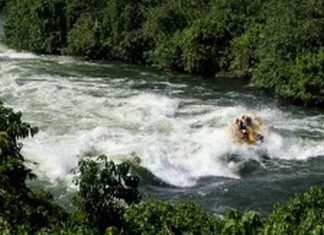 Un touriste veut se prendre en selfie, tombe est mort noyé dans le Nil Un touriste veut se prendre en selfie, tombe est mort noyé dans le Nil