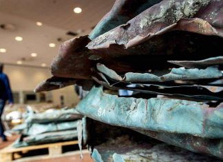 Une épave du 16e siècle découverte par hasard aux Pays-Bas (Photo) Une épave du 16e siècle découverte par hasard aux Pays-Bas (Photo)