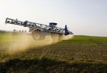 Agence américaine : Le glyphosate n’est pas cancérigène pour l’homme Agence américaine : Le glyphosate n'est pas cancérigène pour l'homme