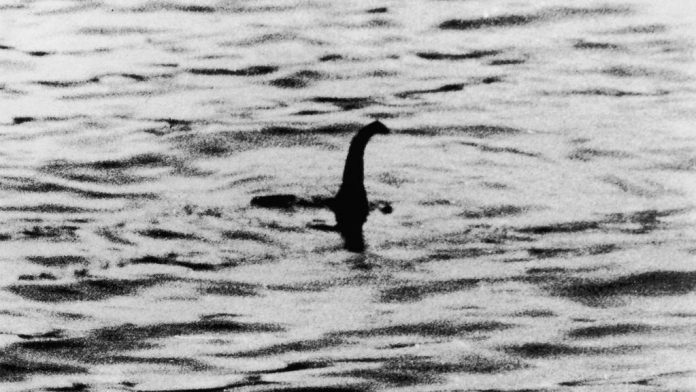 Le monstre du Loch Ness était une anguille ? L’ADN a parlé