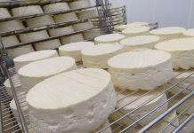 Listériose : Rappel de produits laitiers bio Durr (détail) Listériose : Rappel de produits laitiers bio Durr (détail)