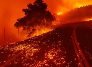 Etat d’urgence : Incendies destructeurs en Californie Etat d'urgence : Incendies destructeurs en Californie