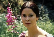 Mort de l’actrice Marie-José Nat, Elle avait 79 ans Mort de l'actrice Marie-José Nat, Elle avait 79 ans