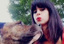 Enquête: Femme enceinte tuée par des chiens dans l’Aisne Enquête: Femme enceinte tuée par des chiens dans l'Aisne