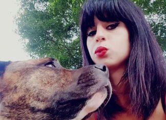 Enquête: Femme enceinte tuée par des chiens dans l’Aisne Enquête: Femme enceinte tuée par des chiens dans l'Aisne