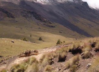 Un Français enlevé dans le centre du Mexique (détail) Un Français enlevé dans le centre du Mexique (détail)