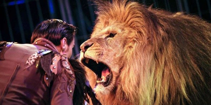 Vote : Paris dit non aux animaux sauvages dans les cirques
