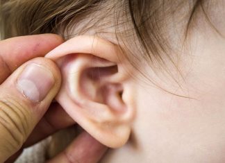 Des fossiles révèlent comment nos oreilles sont nées (étude) Des fossiles révèlent comment nos oreilles sont nées (étude)