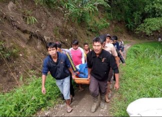 Indonésie : un bus chute dans un immense ravin (détail) Indonésie : un bus chute dans un immense ravin (détail)