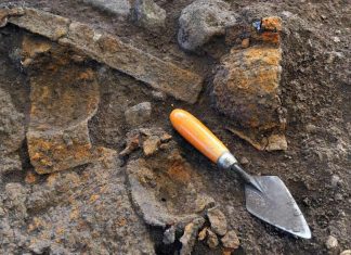 Une nouvelle espèce de dinosaure découverte en Equateur (étude) Une nouvelle espèce de dinosaure découverte en Equateur (étude)