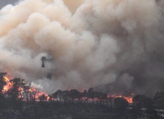 2019, 2e année la plus chaude dans le monde de l’histoire 2019, 2e année la plus chaude dans le monde de l'histoire