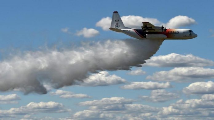 Australie : crash d'un bombardier d'eau (détail)